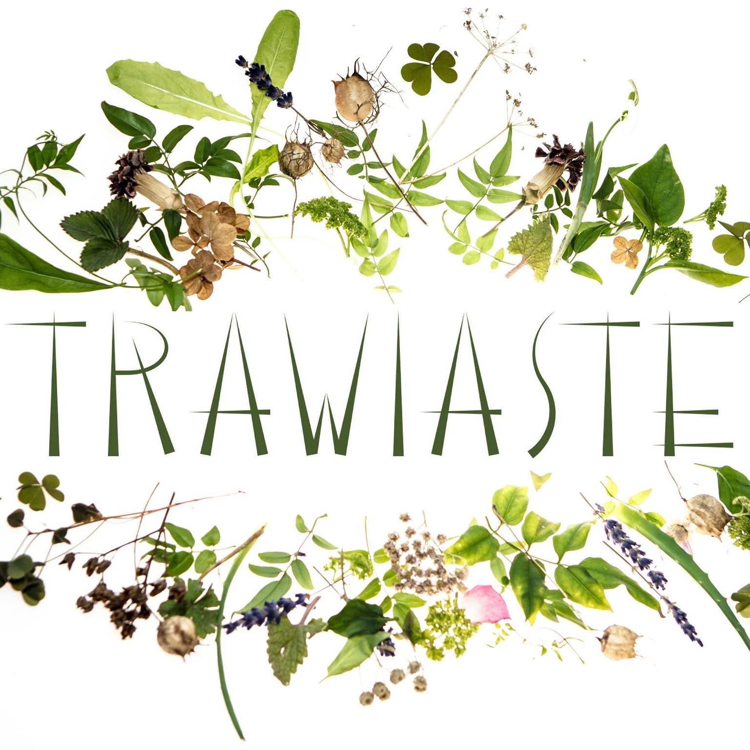 TRAWIASTE®