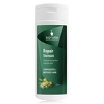 Szampon regenerujący do włosów zniszczonych i przesuszonych z kwiatem lipy i owsem